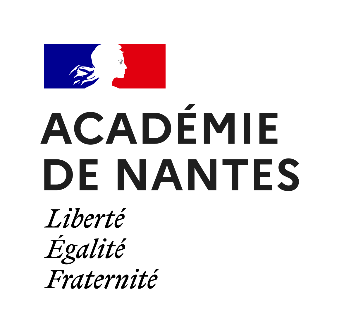 Academie de nantes svg